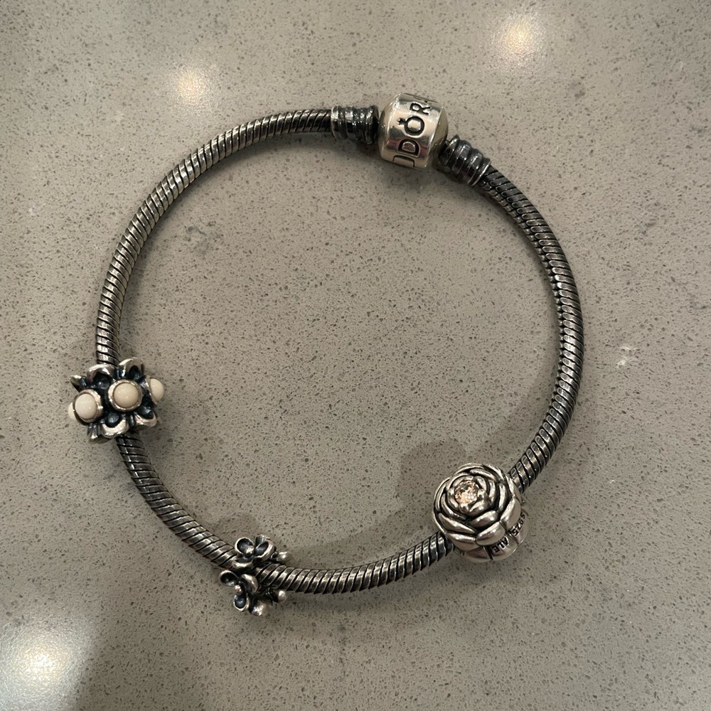 Pandora Oxidized Sterling Silver Bracelet (3 Beads Included)